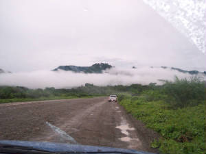 road03.jpg