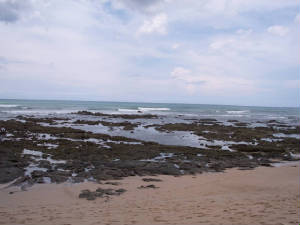 tam_low_tide_reef.jpg