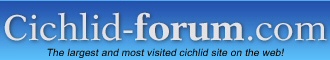 chilidforum.jpg