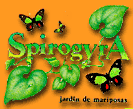 portnew-logo.gif