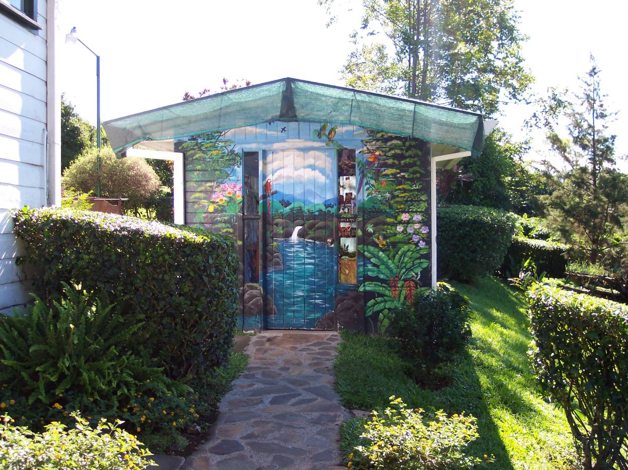 shed.jpg